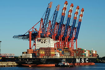 MSC Container Ship Docked at Port with Large Red and Blue Cranes