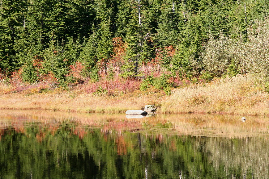 Serene autumn lake with forest reflection and fall foliage