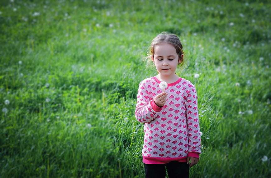 Cute little girl blowing dandelion seeds in green meadow