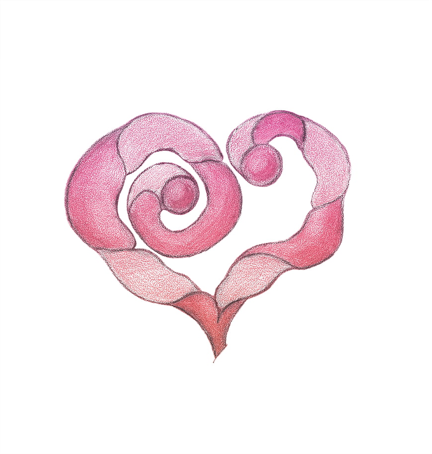 Stylized Pink Heart Drawing Isolated on White Background