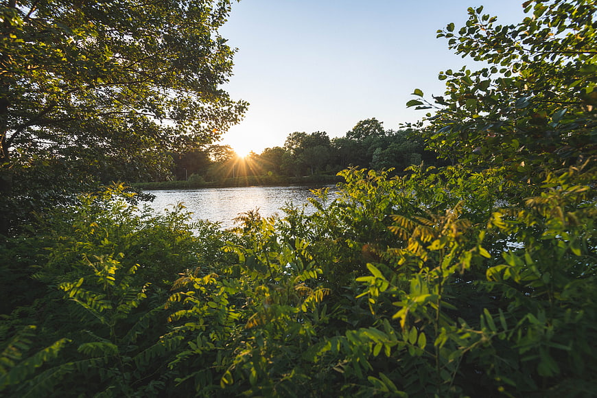 Sunset Over River Through Green Forest Foliage