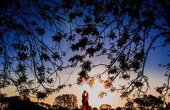 Silhouette of Couple Kissing Under Tree Branches at Sunset