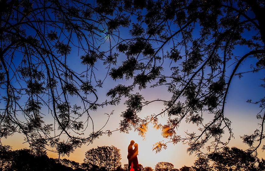 Silhouette of Couple Kissing Under Tree Branches at Sunset