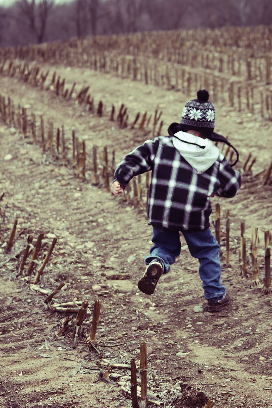 Child running through harvested cornfield in winter