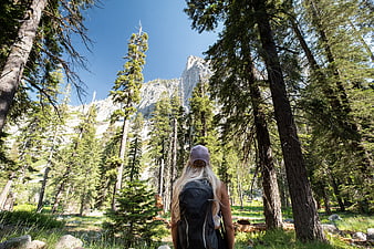 Woman Hiking in Forest Looking at Mountain Peak