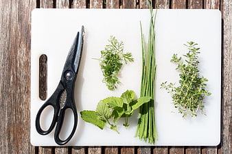Fresh Culinary Herbs And Kitchen Scissors On White Cutting Board