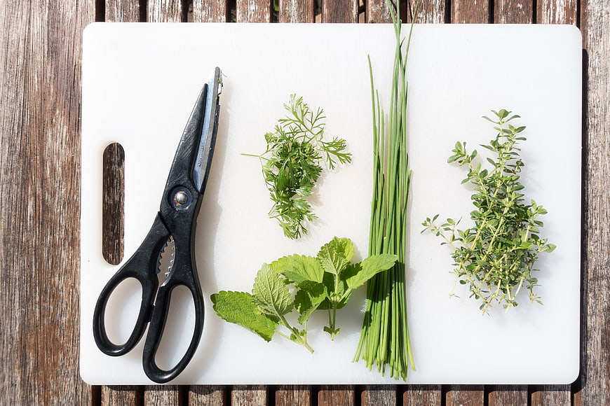Fresh Culinary Herbs And Kitchen Scissors On White Cutting Board