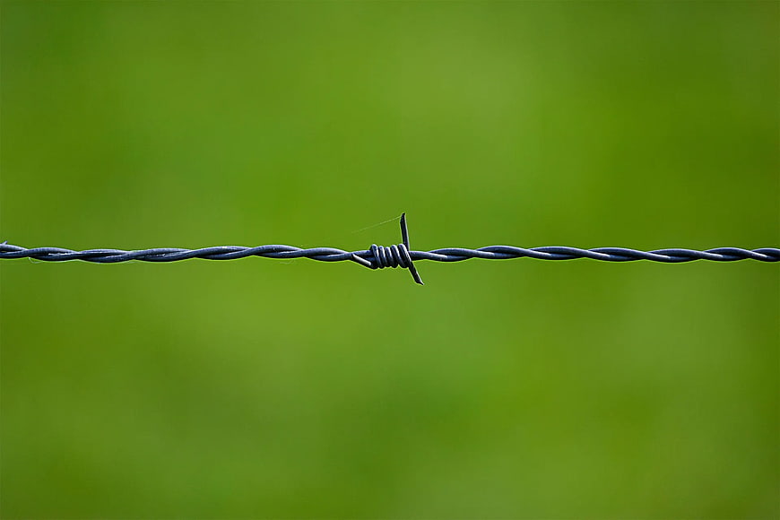 Close-up of barbed wire against blurred green background