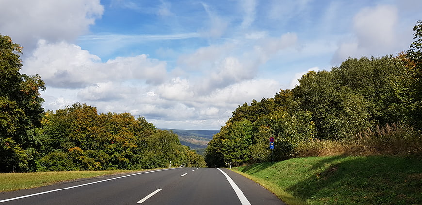 Empty asphalt road winding through green forest landscape