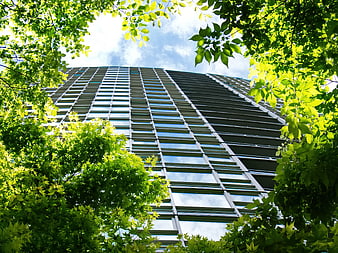 Low angle view of modern glass skyscraper through green leaves