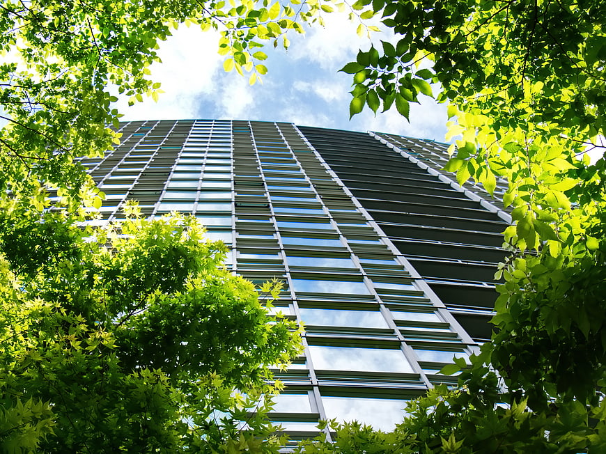 Low angle view of modern glass skyscraper through green leaves