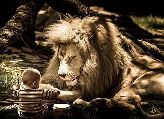 Baby Playing Xylophone Near Sleeping Lion