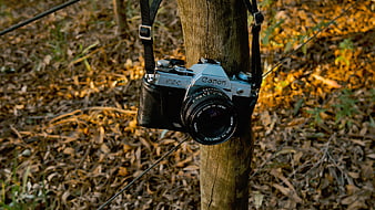 Vintage Canon AT-1 Film Camera Hanging on Wooden Post