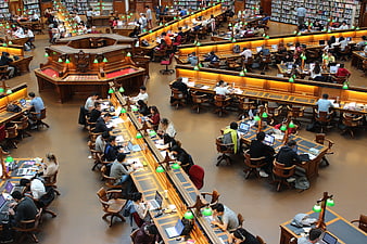 High angle view of students studying in a large university library