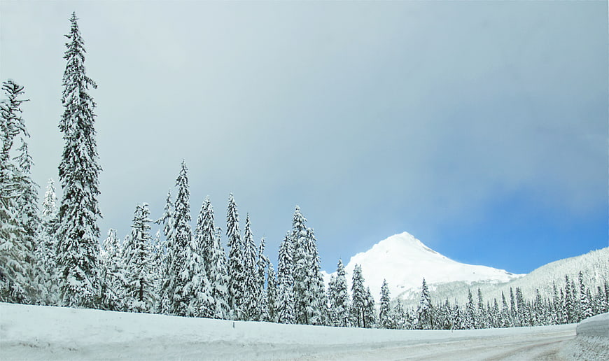 Snowy Mountain Road with Pine Trees and Blue Sky