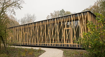 Modern wooden lattice architecture in autumn forest