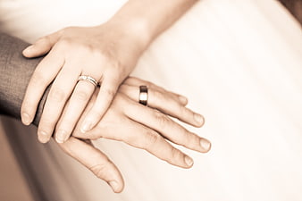 Close-up of wedding couple hands with rings