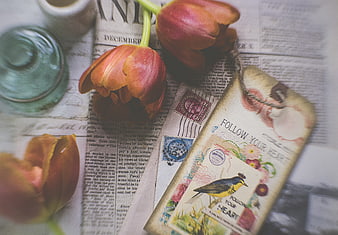 Vintage tulips and greeting card on newspaper background