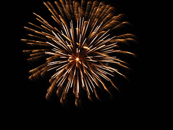 Golden Firework Burst Against Black Night Sky