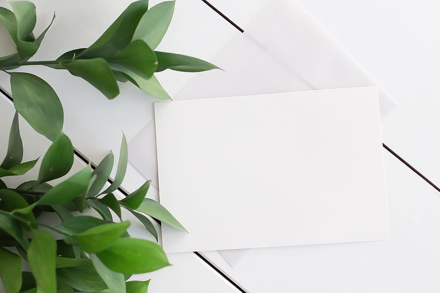 White greeting card mockup with green leaves on white background