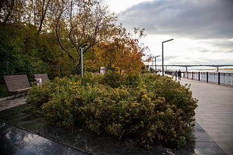 Autumn Riverside Promenade with Walking Couple and Bridge