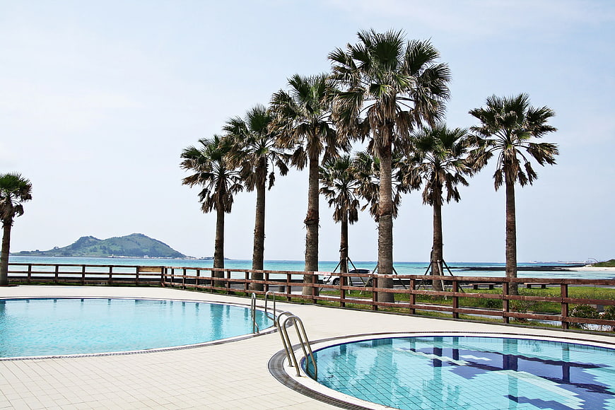 Tropical Resort Pool with Palm Trees and Ocean View