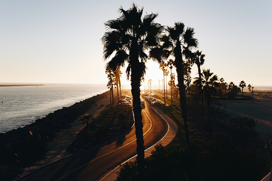 Sunset Coastal Road with Palm Trees Silhouette