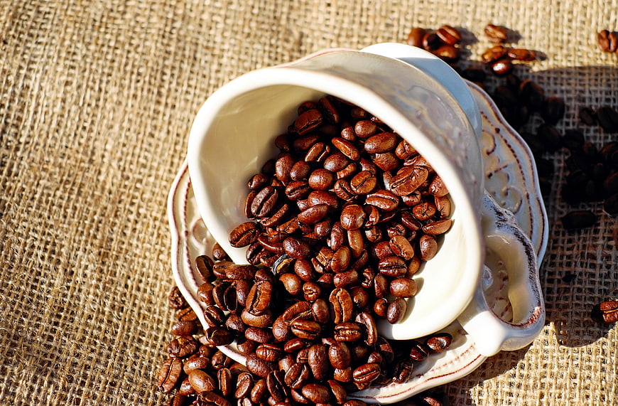 Roasted coffee beans spilling from a white ceramic cup on burlap