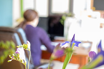 Purple Iris Flowers in Focus with Blurred Office Worker Background
