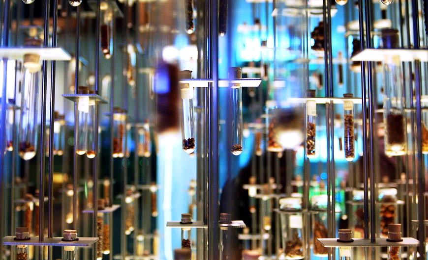 Hanging glass test tubes with seeds in a science museum display