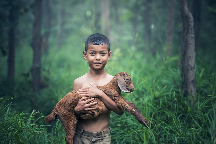 Young Boy Holding Brown Goat in Lush Green Forest