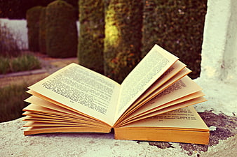 Open book with fanned pages on stone ledge outdoors