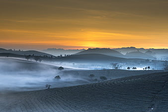Misty Tea Plantation Hills at Golden Sunrise
