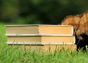 Stack of Books on Grass in Park