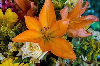Vibrant Orange Lily Close-Up in Colorful Floral Arrangement