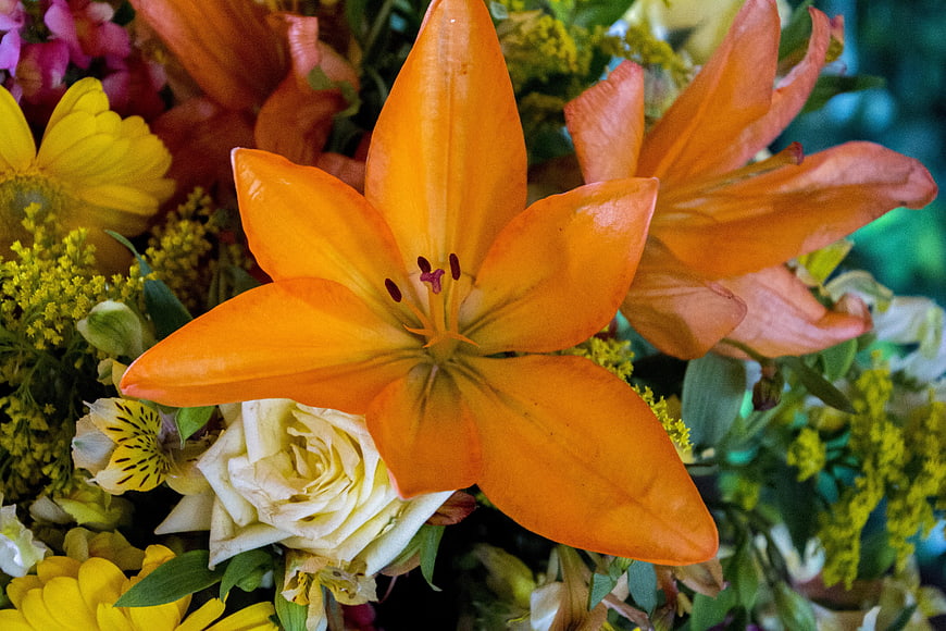 Vibrant Orange Lily Close-Up in Colorful Floral Arrangement
