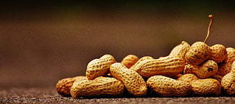 Close-up of raw peanuts in shell on rustic wooden surface