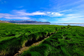Vibrant Green Grassland Landscape with Blue Sky and Distant Mountains