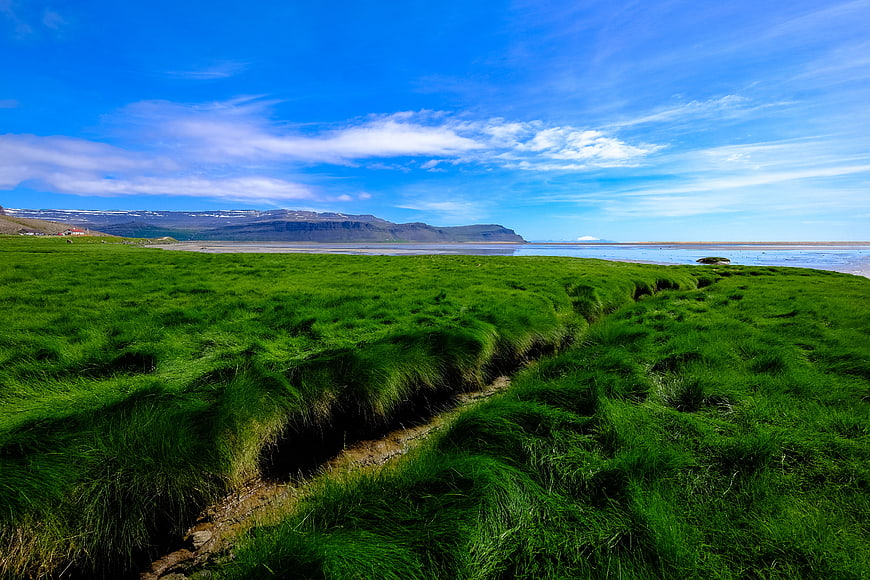 Vibrant Green Grassland Landscape with Blue Sky and Distant Mountains