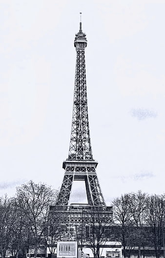 Black and white Eiffel Tower with bare trees