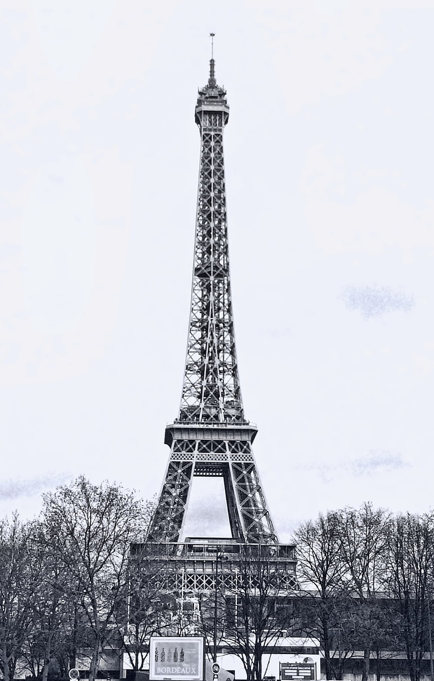 Black and white Eiffel Tower with bare trees