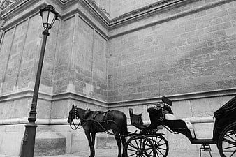 Black and white horse carriage parked by stone building