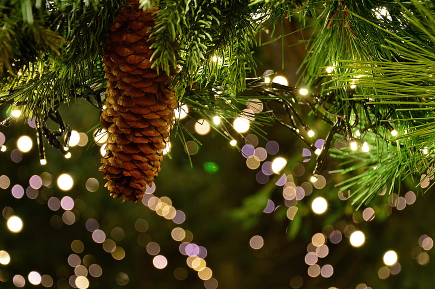 Christmas Pinecone With Warm Fairy Lights And Bokeh Background