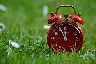 Red Vintage Alarm Clock on Green Grass with Daisies