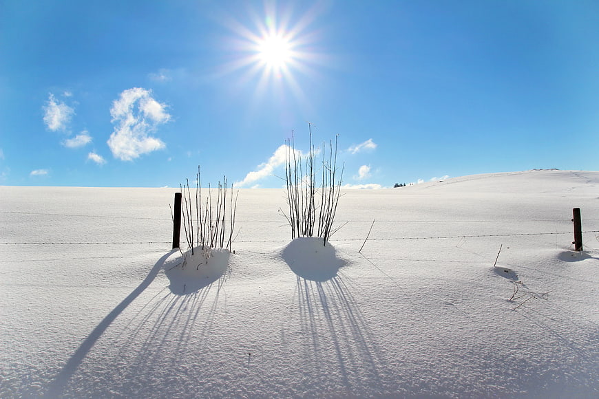 Winter Snowy Landscape With Sun And Shadows