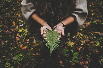 Woman holding green fern leaf in autumn forest