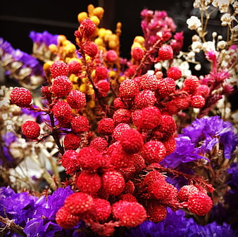 Vibrant Red and Purple Dried Flower Bouquet Close-Up