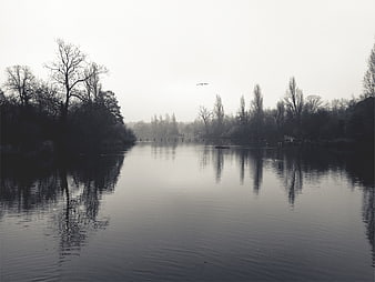 Serene Black and White Lake Landscape with Reflections