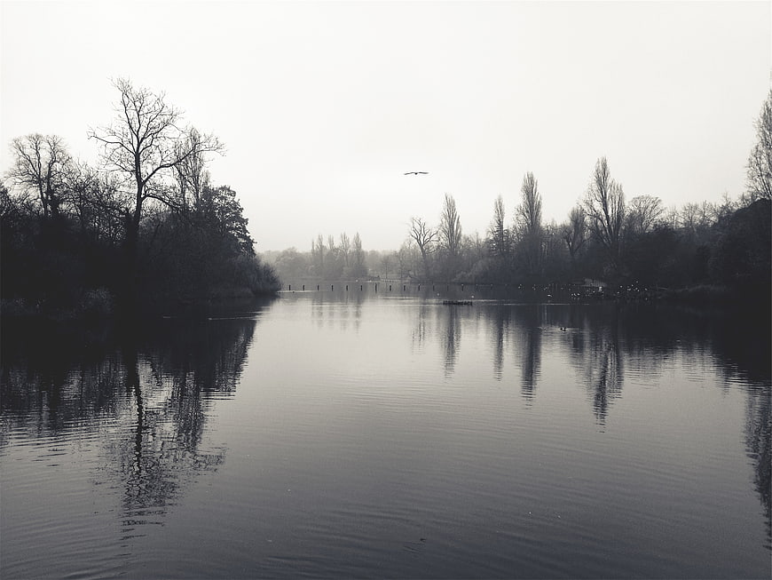 Serene Black and White Lake Landscape with Reflections