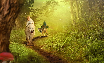 Fantasy Forest Scene With Baby Riding Dog And Cat